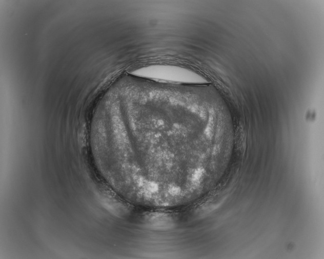 X0000096430224200802211154