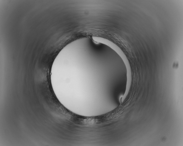 X0000096430225200802211154