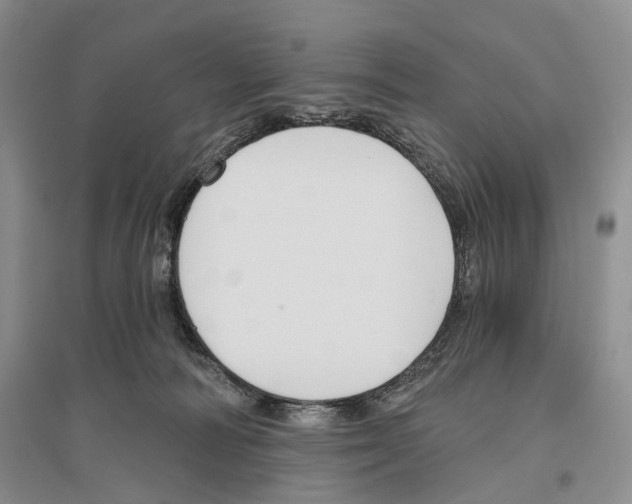 X0000096430226200802211154