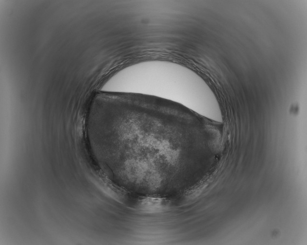 X0000096430227200802211154