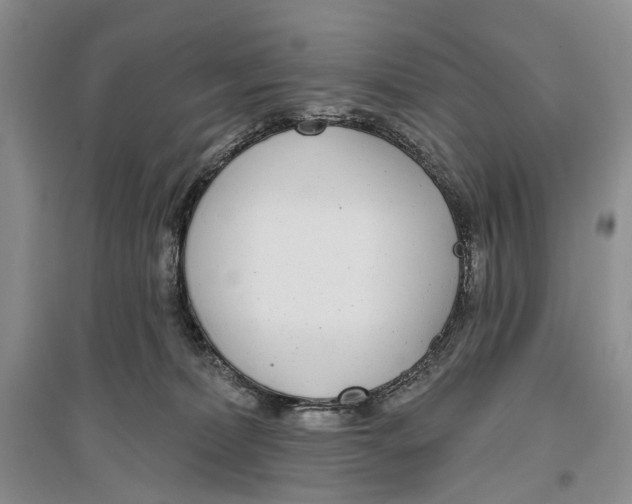 X0000096430228200802211154
