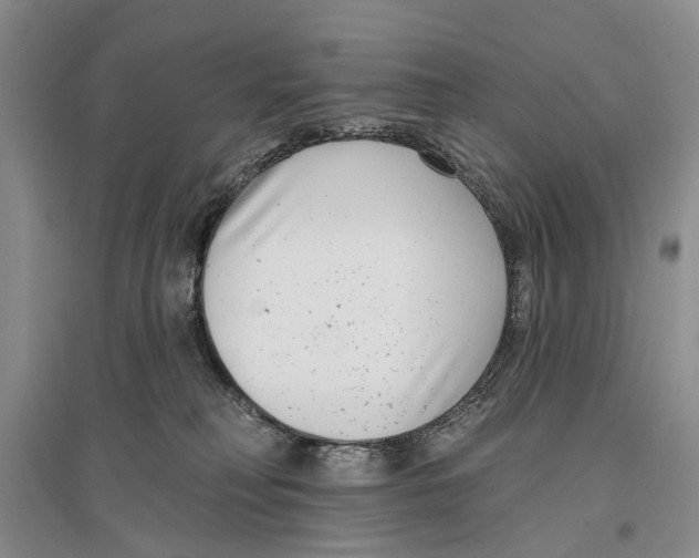 X0000096430230200802211154