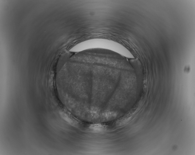 X0000096430231200802211154