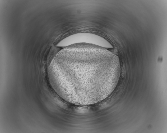 X0000096430232200802211154