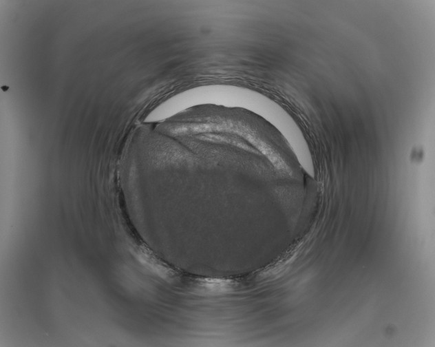 X0000096430233200802211154