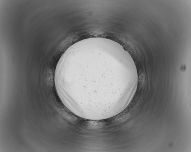 X0000096430234200802211154