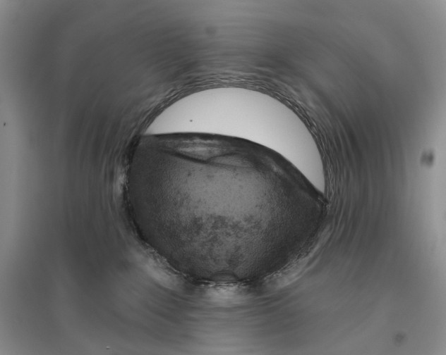 X0000096430235200802211154