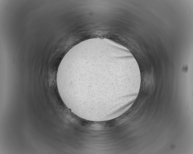X0000096430236200802211154