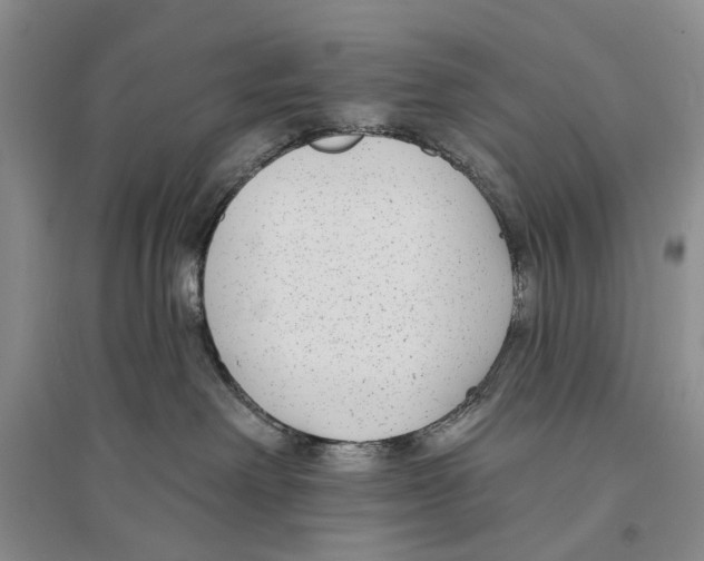 X0000096430238200802211154