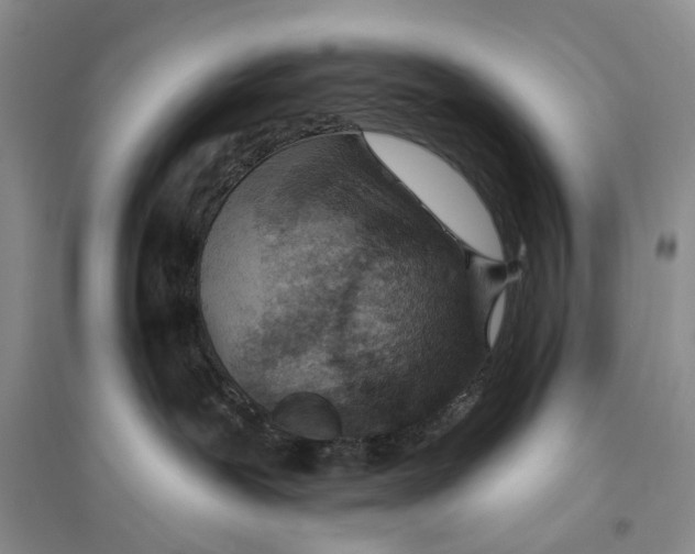 X0000096430239200802211154