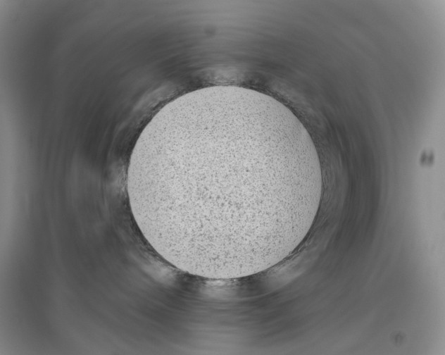 X0000096430240200802211154