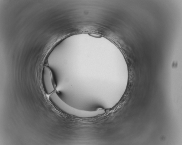 X0000096430241200802211153