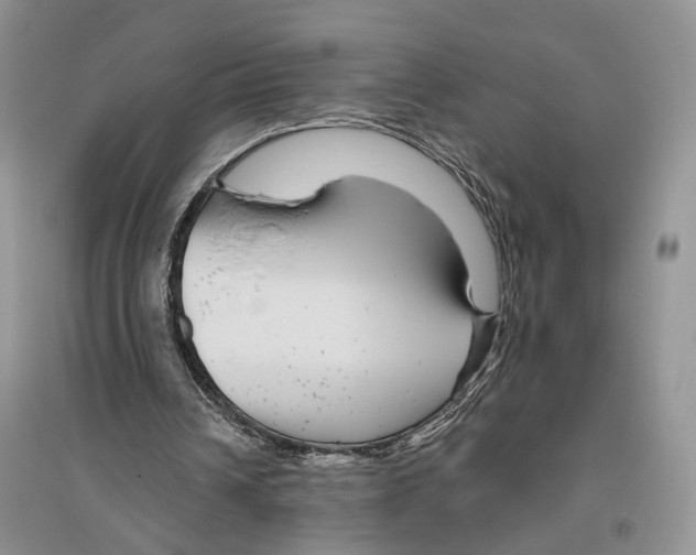 X0000096430242200802211153