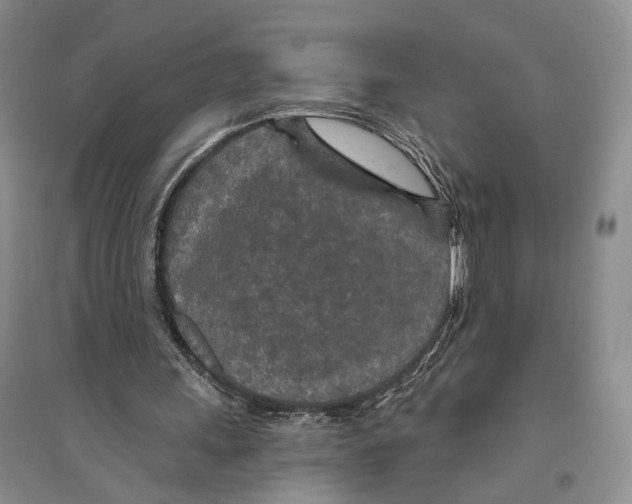 X0000096430243200802211153