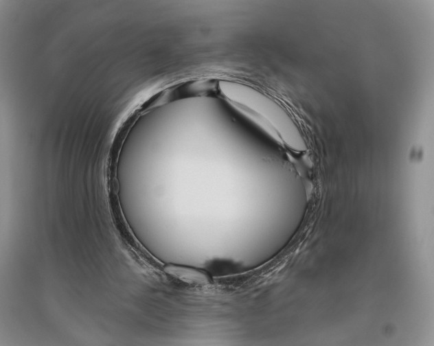 X0000096430244200802211153