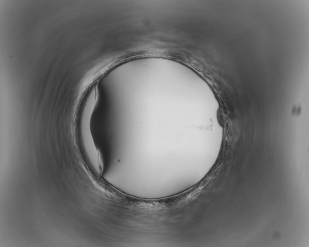 X0000096430245200802211153