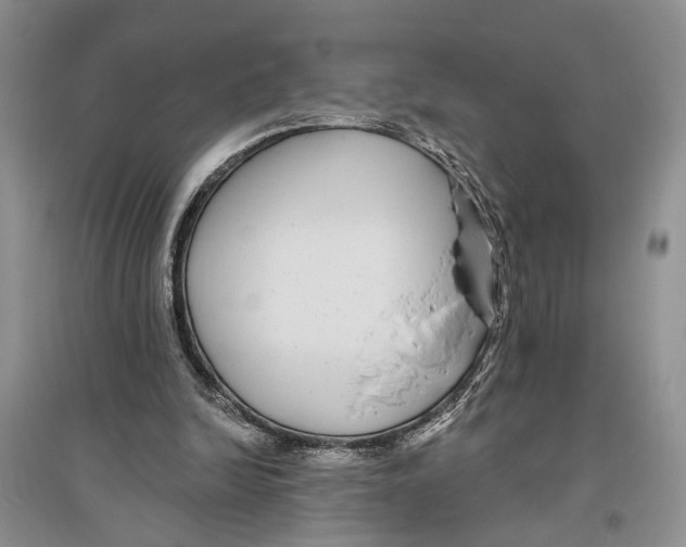 X0000096430246200802211154