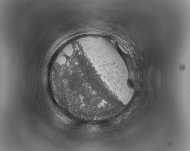 X0000096430247200802211154