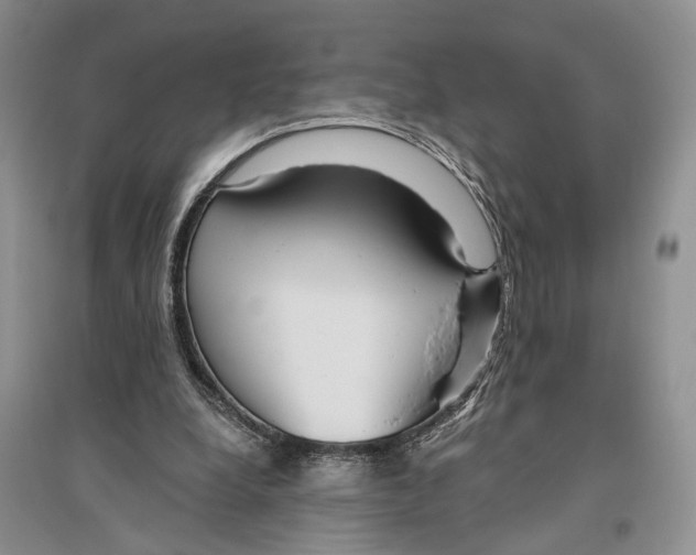 X0000096430248200802211154