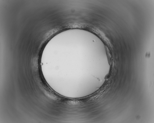X0000096430250200802211154