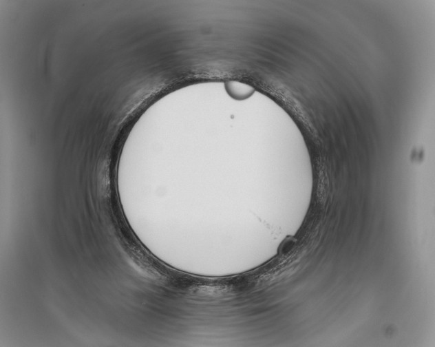 X0000096430251200802211154