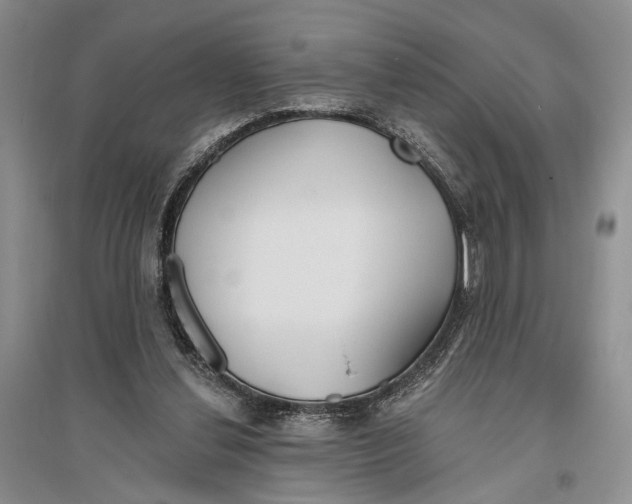 X0000096430252200802211154