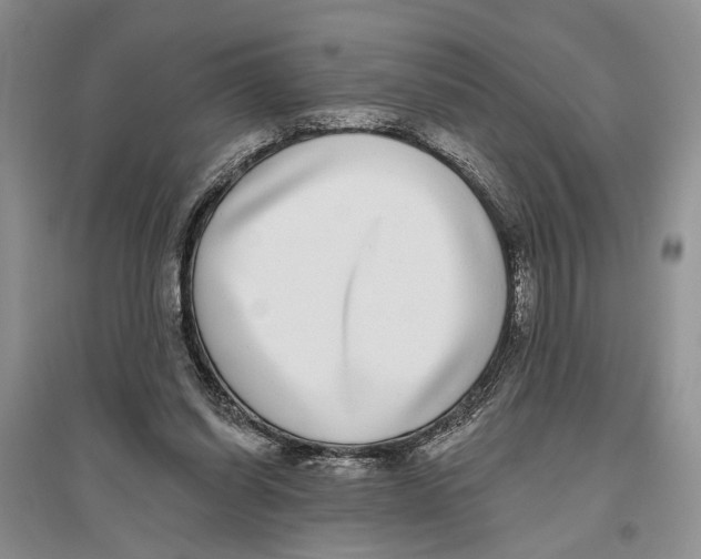 X0000096430254200802211154