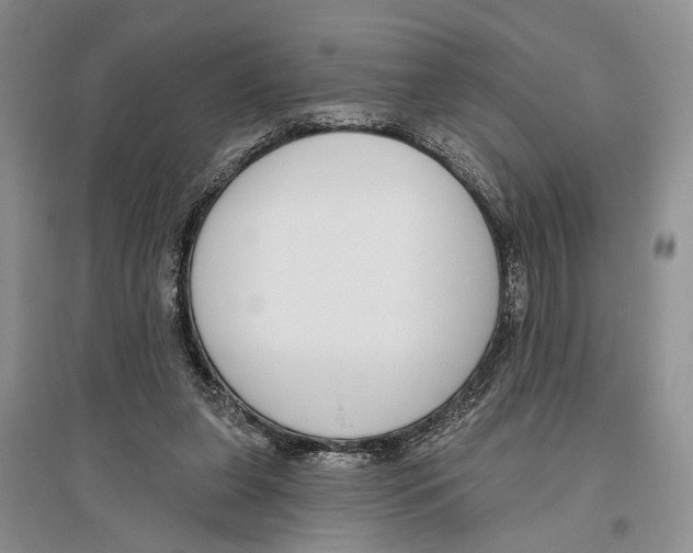 X0000096430255200802211154