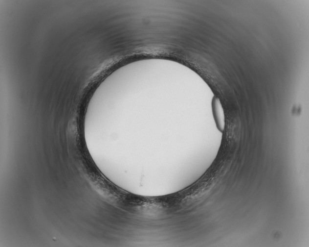 X0000096430256200802211154