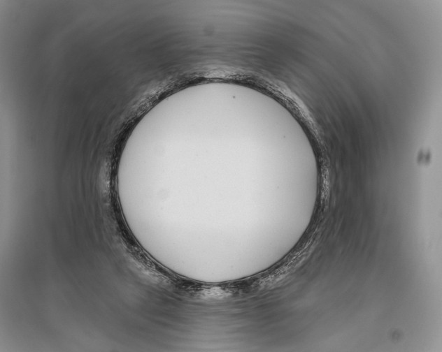 X0000096430257200802211154
