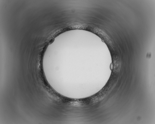 X0000096430259200802211154
