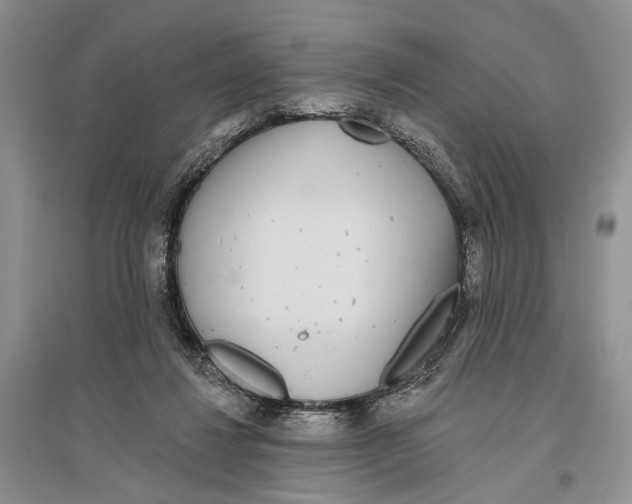 X0000096430260200802211154