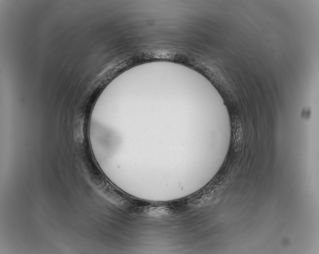 X0000096430262200802211154