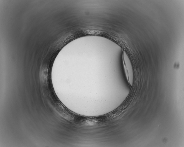 X0000096430263200802211154