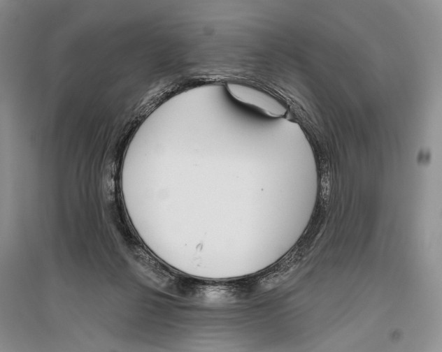 X0000096430264200802211154