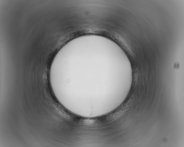 X0000096430265200802211154