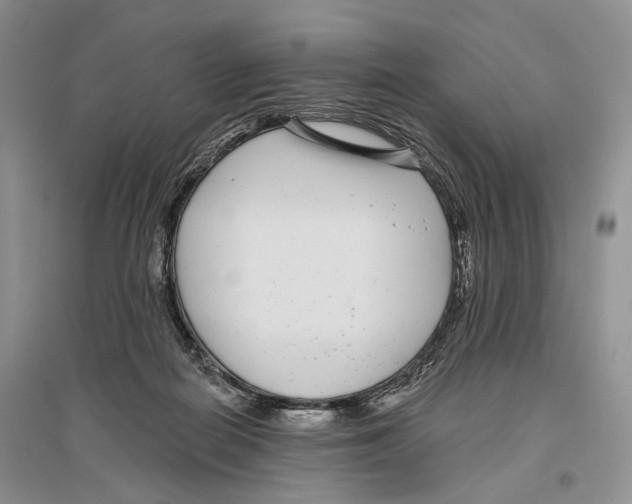 X0000096430266200802211154