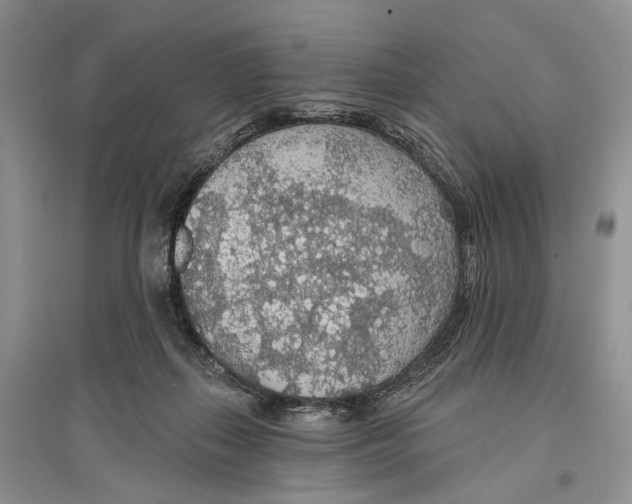 X0000096430267200802211154