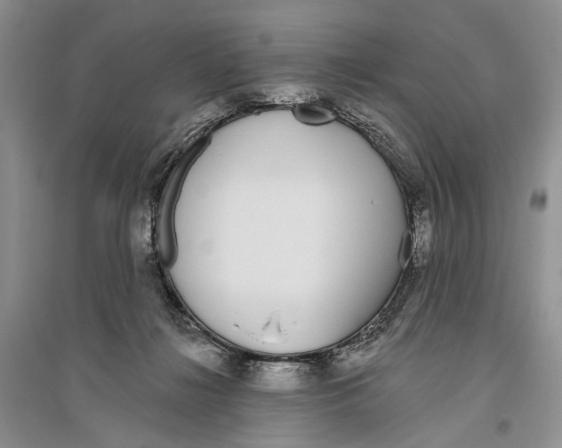 X0000096430268200802211154