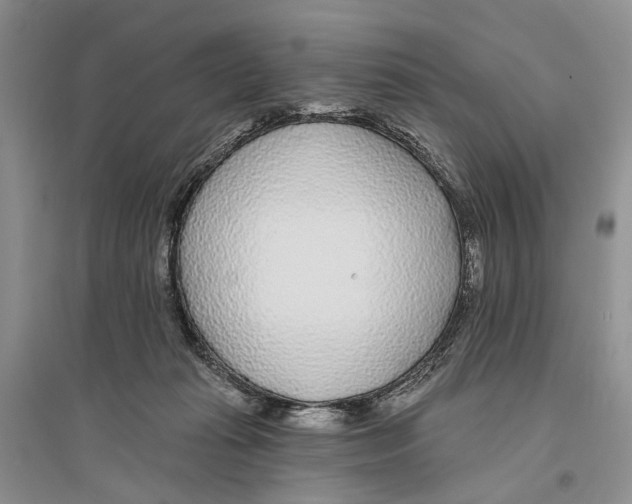 X0000096430269200802211154