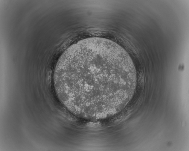 X0000096430271200802211154