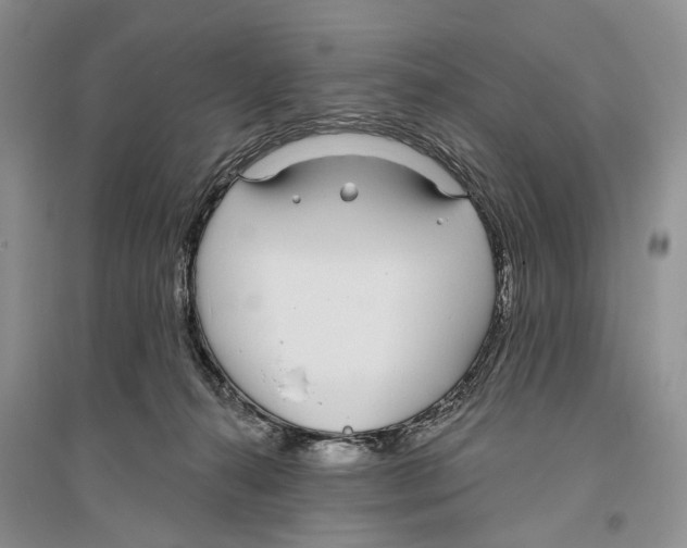X0000096430272200802211154