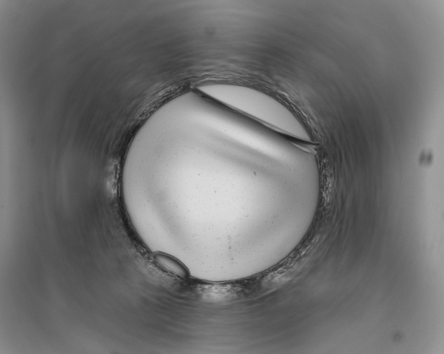 X0000096430273200802211154