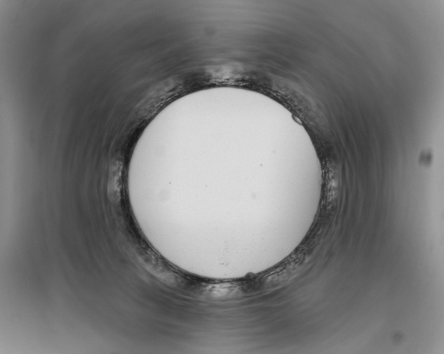 X0000096430275200802211154