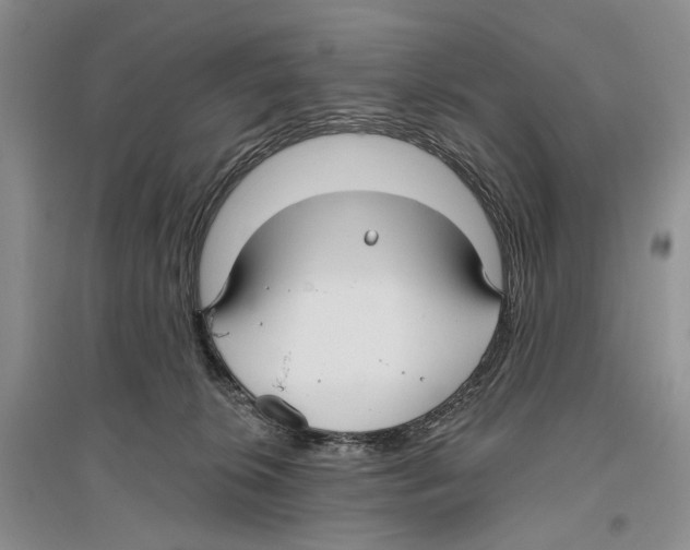 X0000096430276200802211154