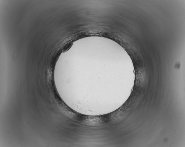 X0000096430278200802211154