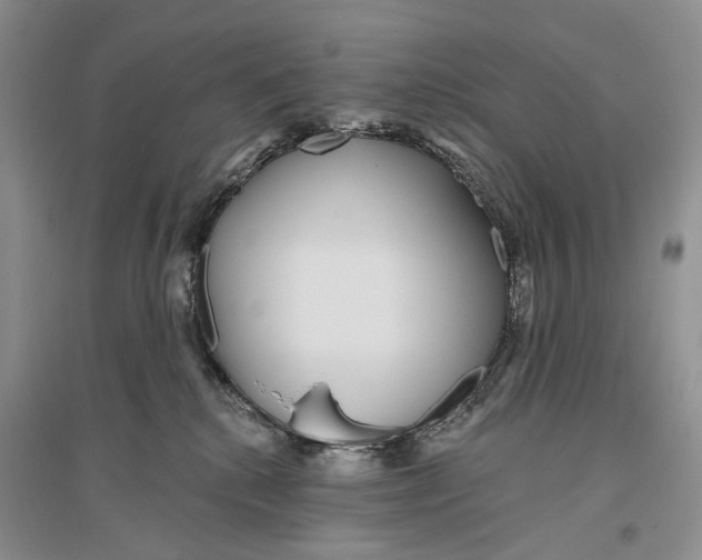 X0000096430280200802211154