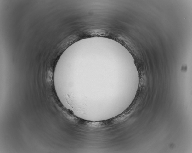 X0000096430281200802211154