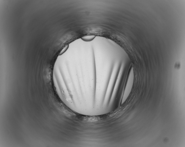 X0000096430282200802211154