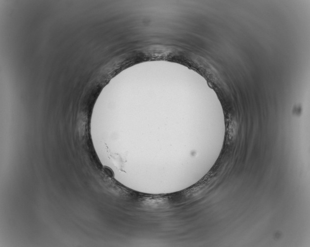 X0000096430283200802211154